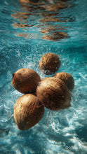 Load image into Gallery viewer, Coconut Cove
