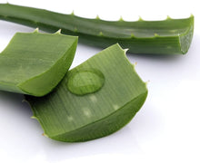 Load image into Gallery viewer, Aloe
